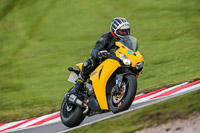 Oulton-Park-21st-March-2020;PJ-Motorsport-Photography-2020;anglesey;brands-hatch;cadwell-park;croft;donington-park;enduro-digital-images;event-digital-images;eventdigitalimages;mallory;no-limits;oulton-park;peter-wileman-photography;racing-digital-images;silverstone;snetterton;trackday-digital-images;trackday-photos;vmcc-banbury-run;welsh-2-day-enduro